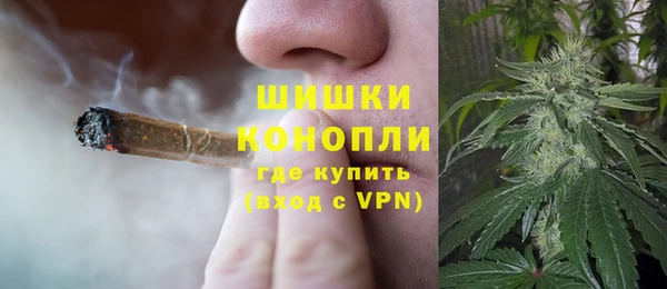 индика Бугульма